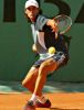 chardy03.jpg